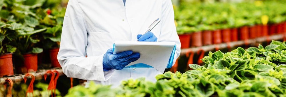 Technological innovation in the food production sector
